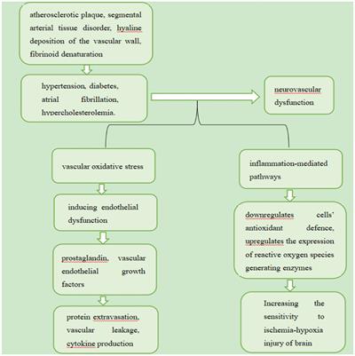Multimodality neuroimaging in vascular mild cognitive impairment: A narrative review of current evidence